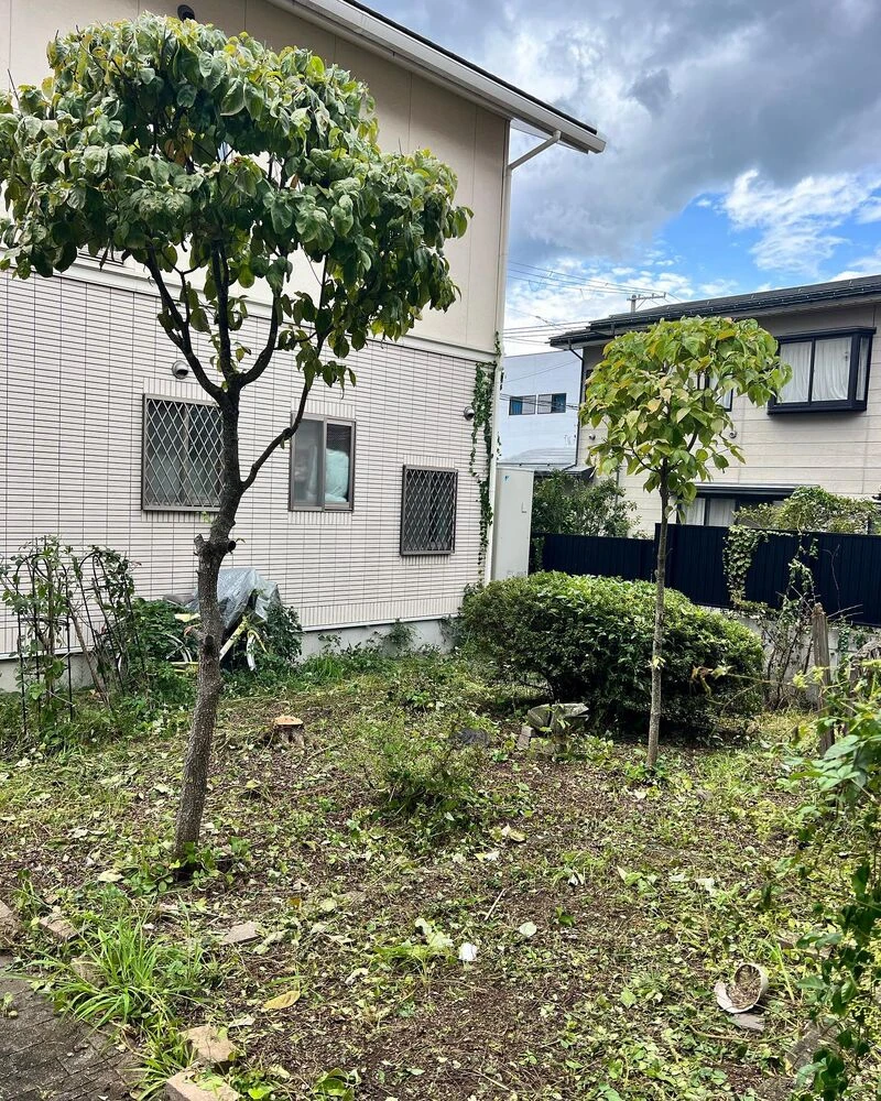 ブログ画像