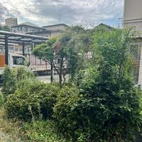 ブログ画像