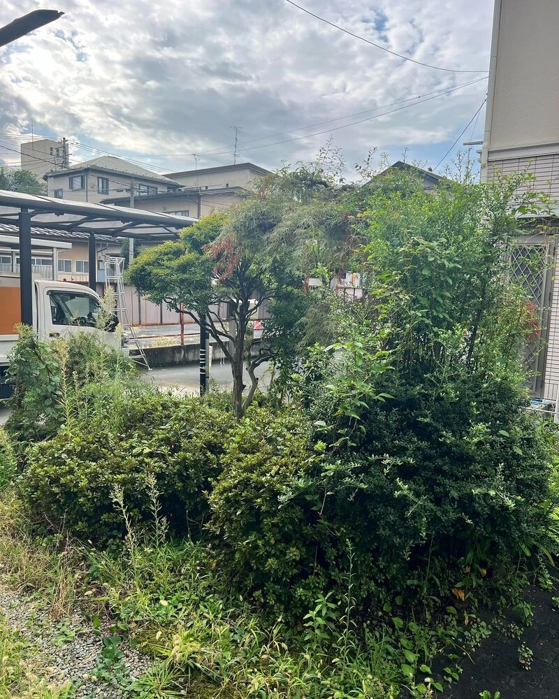 ブログ画像