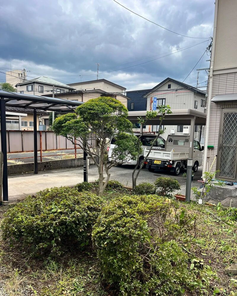 ブログ画像