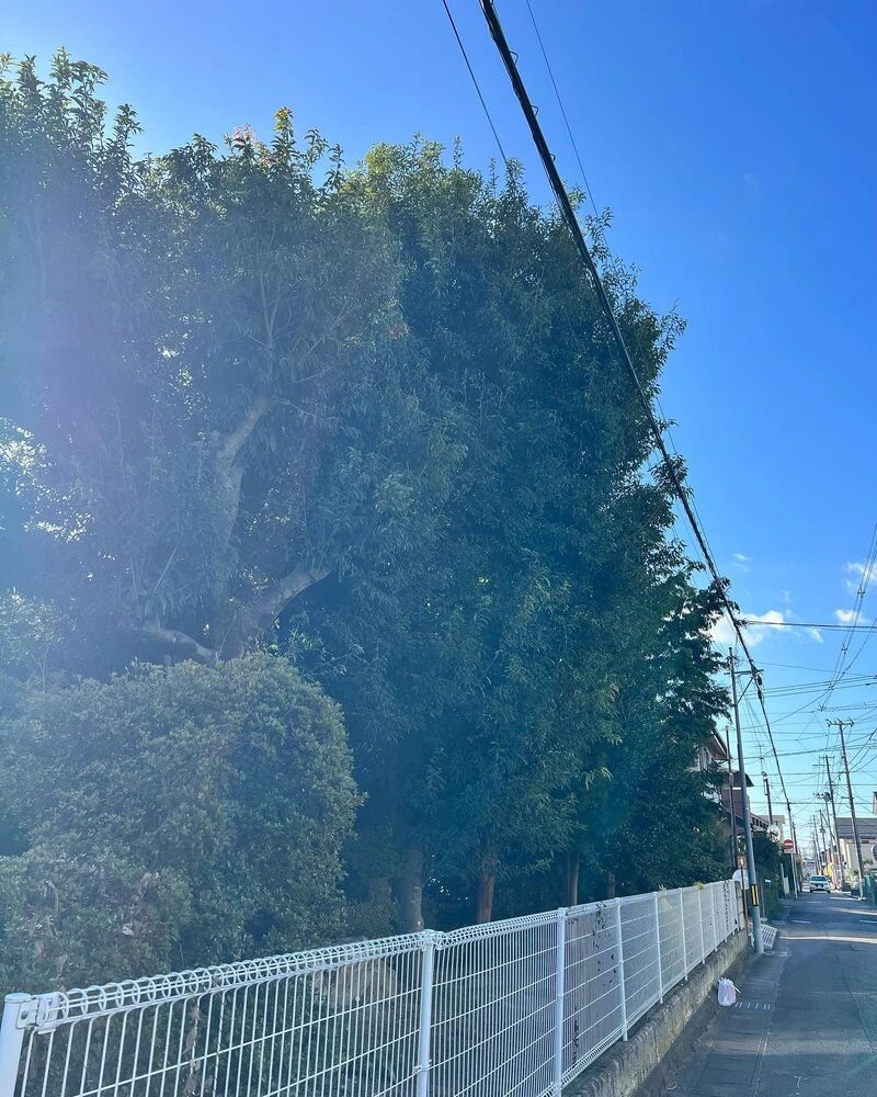 ブログ画像