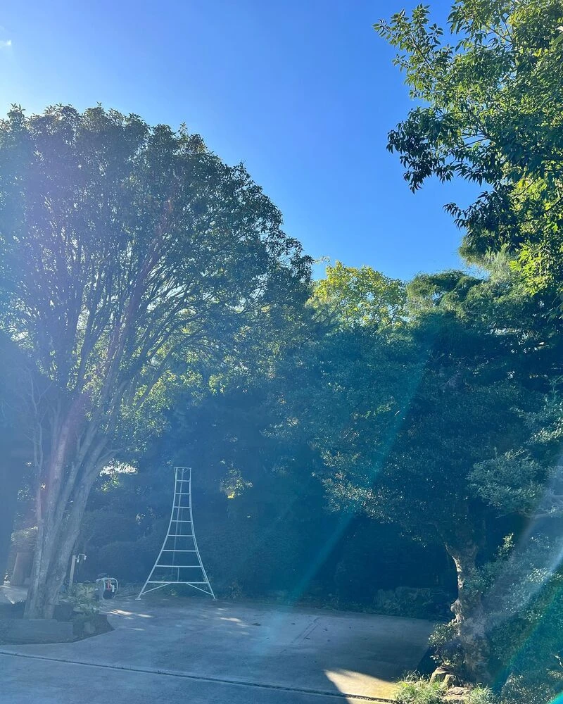 ブログ画像