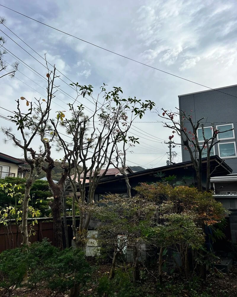 ブログ画像