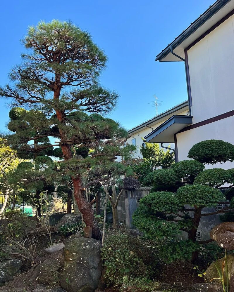 ブログ画像